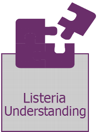 Training icon
