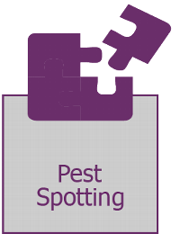 Training icon