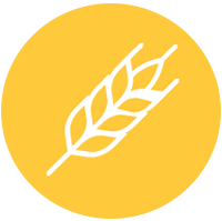 allergen icon